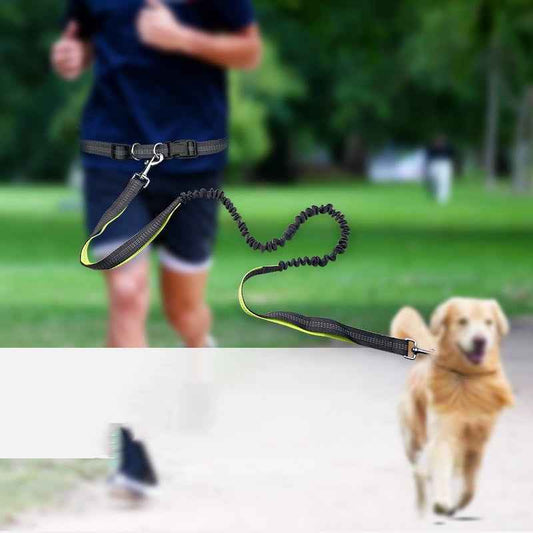 Hundpromenad Midjerem med Avtagbar Stötdämpande Koppel – 130cm